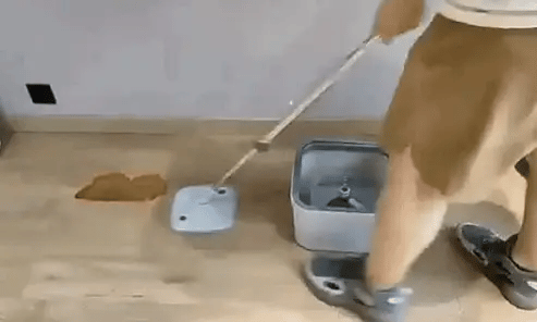 Rotating Spin Mop - F04