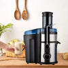 5-in-1 Juicer & Blender ©