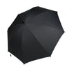 Fan Umbrella