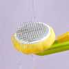 Sunflower Pet Comb